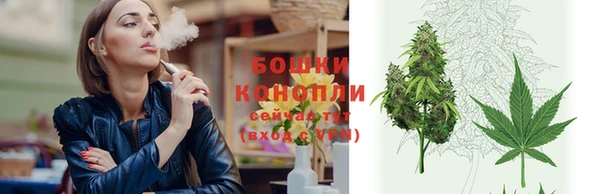 ГАЛЛЮЦИНОГЕННЫЕ ГРИБЫ Липки