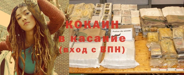 ГАЛЛЮЦИНОГЕННЫЕ ГРИБЫ Липки