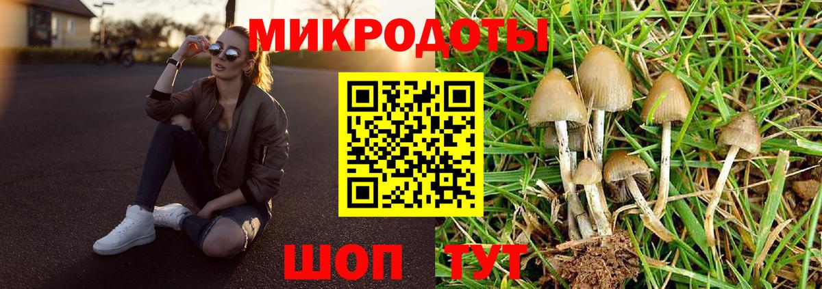Галлюциногенные грибы мухоморы Вичуга