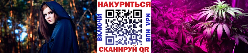 Бошки Шишки планчик  Вичуга 
